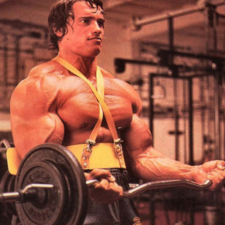 Premium Arm Blaster – Adjustable Bodybuilding Support for Biceps & Triceps, Lightweight Aluminum Alloy with Padded Elbow 